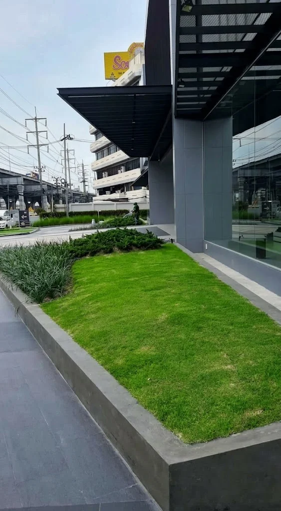 Album image 2