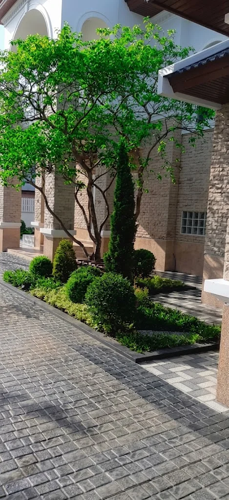 Album image 4