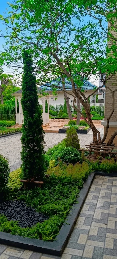 Album image 5