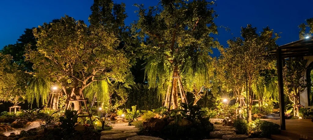 Album image 5