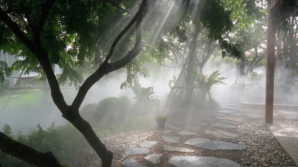 Album image 3