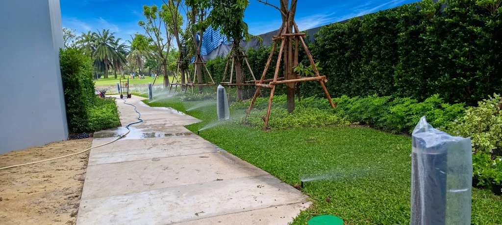 Album image 4