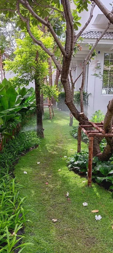Album image 5